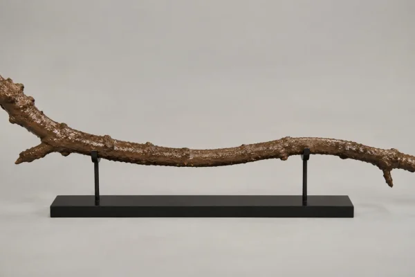 a tree branch caked in wet brown mud